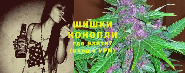 PSILOCYBIN Строитель